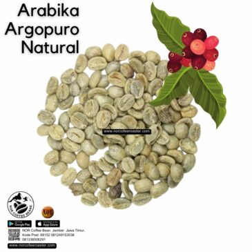 Green Bean Kopi Arabika Argopuro Natural