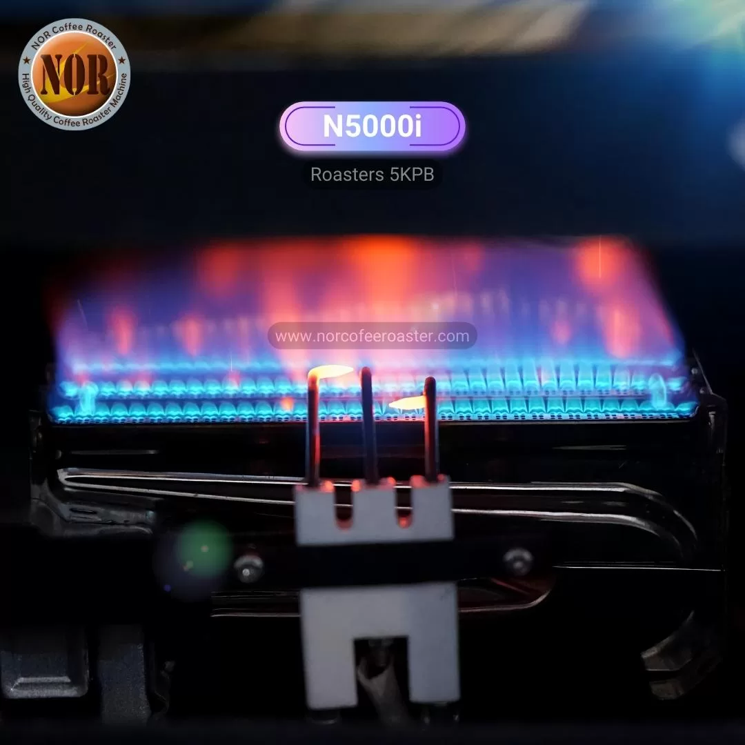 N5000i mesin roasting 5kg