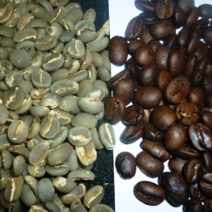 arabika