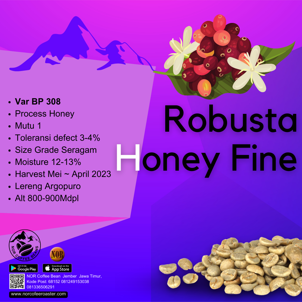 NOR COFFEE ROASTER Green Bean Kopi Robusta Honey Fine