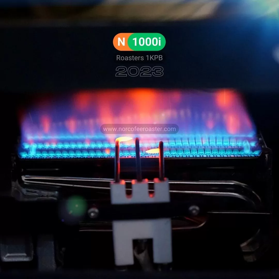 Mesin Roasting N1000i Versi 2023