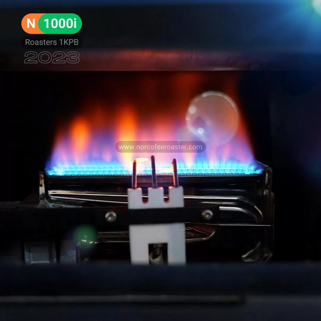 Mesin Roasting N1000i Versi 2023